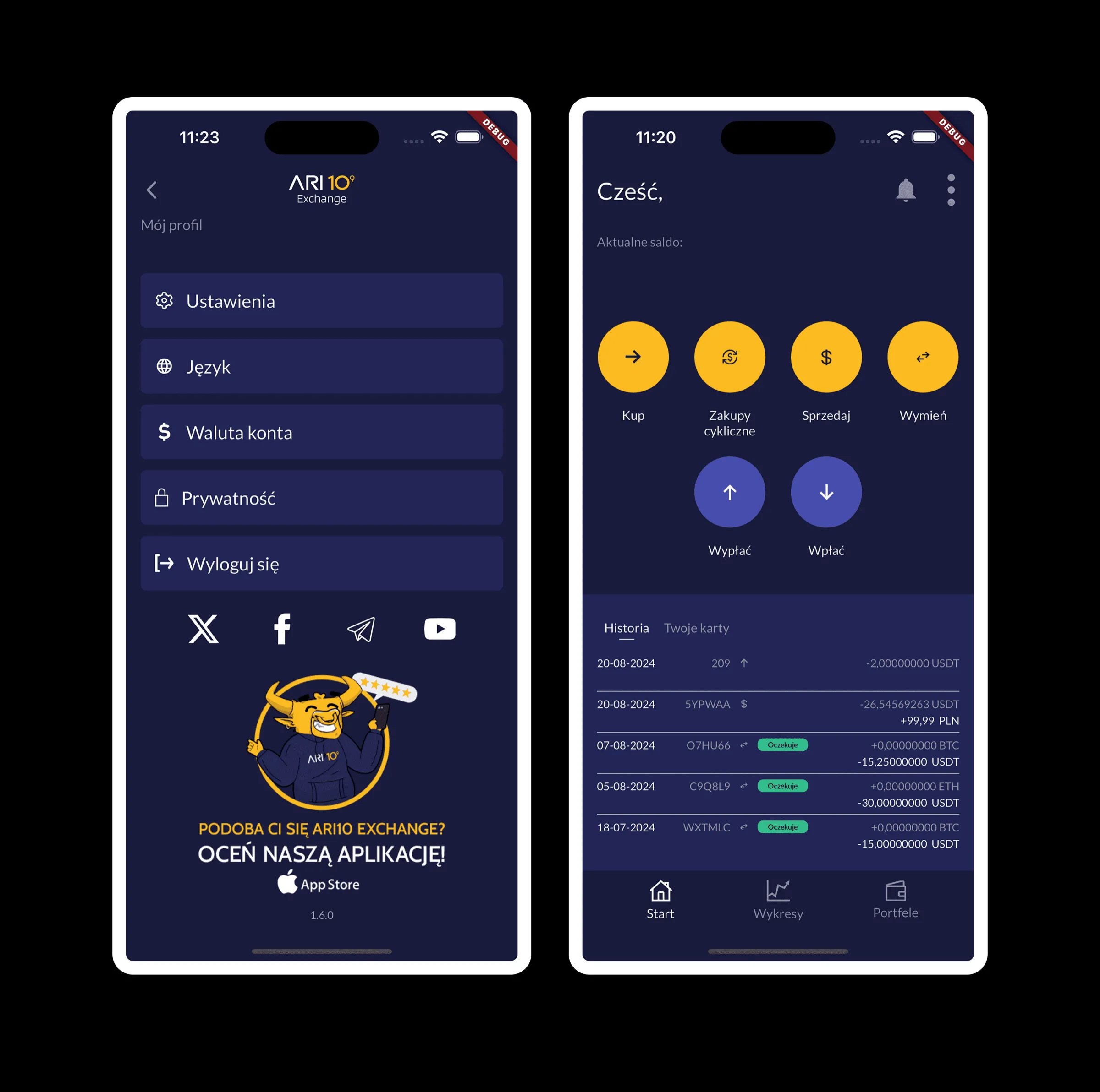 ARI10 app before the redesign